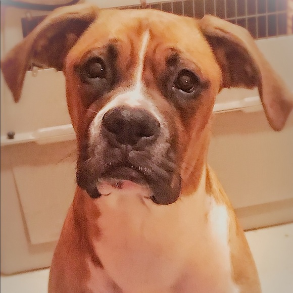 HELLO GORGEOUS! - Picture 5 of 14